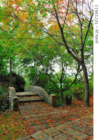 秋の季節 オータムカラー 秋の景色 50719611