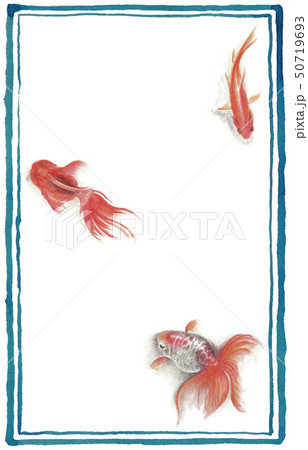金魚ポストカードのイラスト素材
