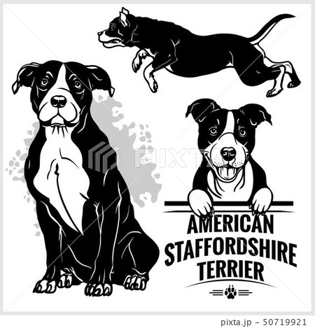 can a american staffordshire terrier live in saint lucia