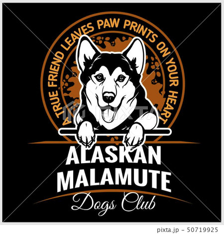 Alaskan Malamute - vector illustration for t-shirt, logo and template badges 50719925