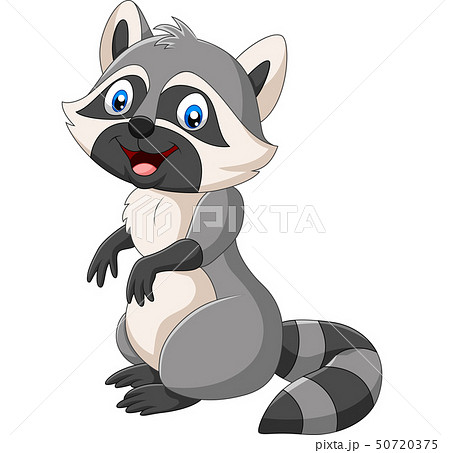 Cartoon happy raccoon on white background Cartoon happy raccoon on white background 50720375