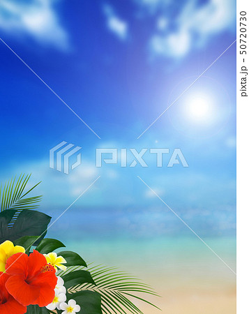 背景 南国 海 空 夏 ビーチ ハイビスカスのイラスト素材