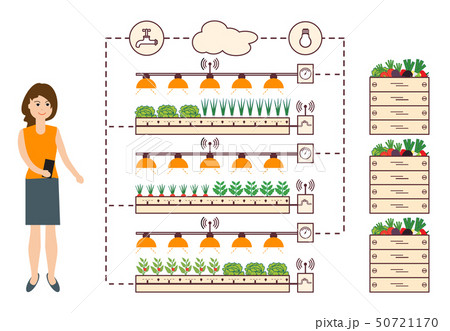 Woman controls the smart farm and agriculture Woman controls the smart farm and agriculture 50721170