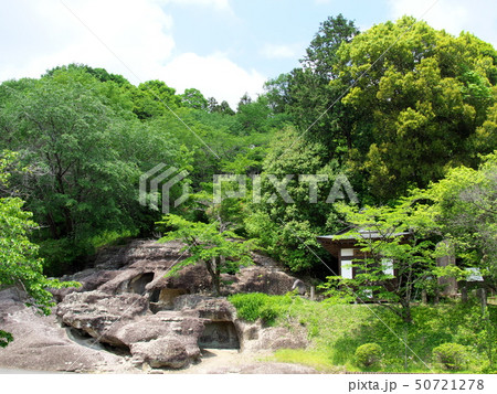 長岡百穴古墳 長岡百穴古墳 50721278
