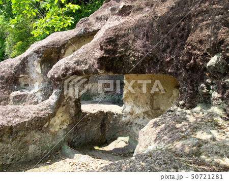 長岡百穴古墳 長岡百穴古墳 50721281