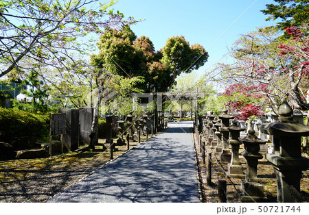 知覧平和公園 鹿児島県 知覧平和公園 鹿児島県 50721744
