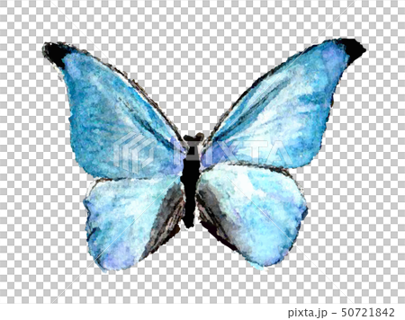 青い蝶のイラスト素材