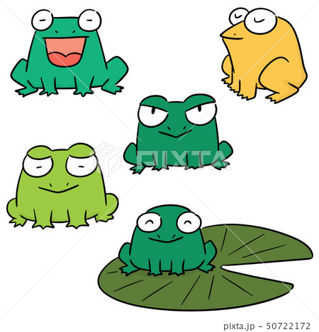 vector set of frog 50722172