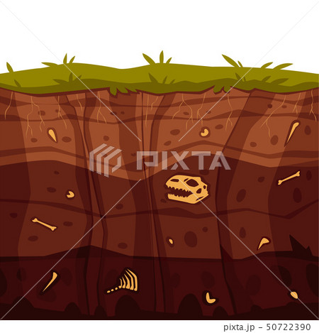Vector soil ground layers with grass surface Vector soil ground layers with grass surface 50722390
