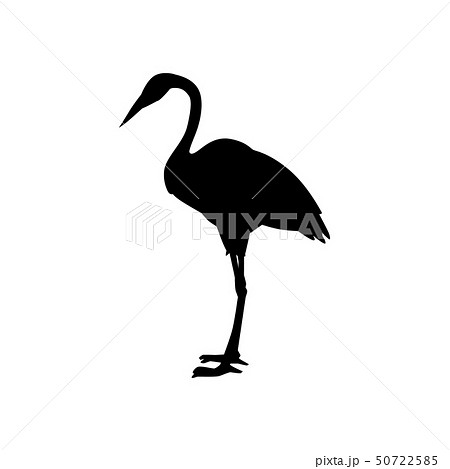 Vector hand drawn white crane bird standing 50722585