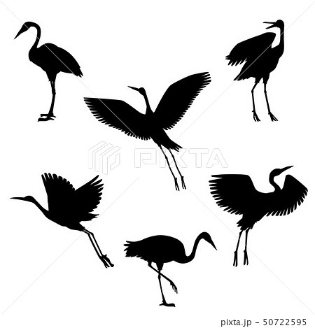 Vector Hand Drawn Black Crane Birds Setのイラスト素材