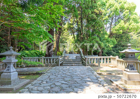 櫻井神社_福岡県糸島市志摩桜井4227 50722670