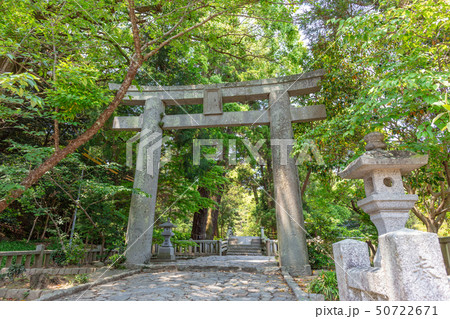 櫻井神社_福岡県糸島市志摩桜井4227 櫻井神社_福岡県糸島市志摩桜井4227 50722671