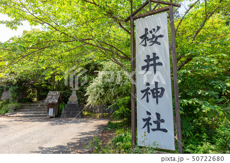 櫻井神社_福岡県糸島市志摩桜井4227 櫻井神社_福岡県糸島市志摩桜井4227 50722680