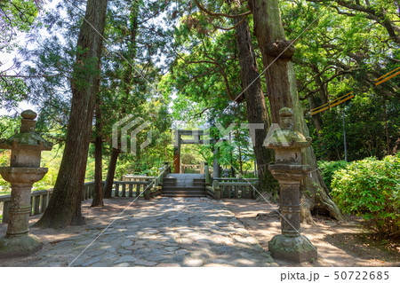 櫻井神社_福岡県糸島市志摩桜井4227 50722685