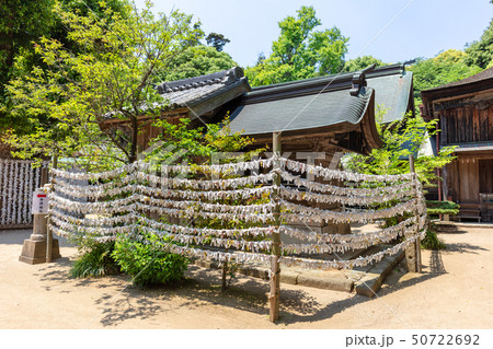 櫻井神社_福岡県糸島市志摩桜井4227 50722692