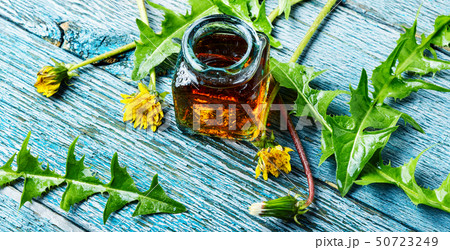 Dandelion tincture in bottle 50723249