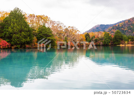 View of Yunoko lake in autumn season at Nikko View of Yunoko lake in autumn season at Nikko 50723634