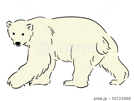 シロクマ シロクマ 50723908