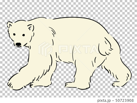 シロクマ シロクマ 50723908