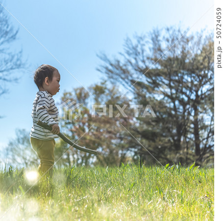 イメージフォト イメージフォト 50724059