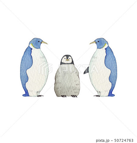 夏 冬 コウテイペンギン 家族 動物 水彩 イラストのイラスト素材