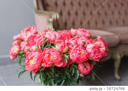Coral peonies in a metal vase. Beautiful peony flower for catalog or online store. Floral shop Coral peonies in a metal vase. Beautiful peony flower for catalog or online store. Floral shop 50724766