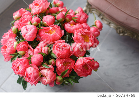 Coral peonies in a metal vase. Beautiful peony flower for catalog or online store. Floral shop 50724769