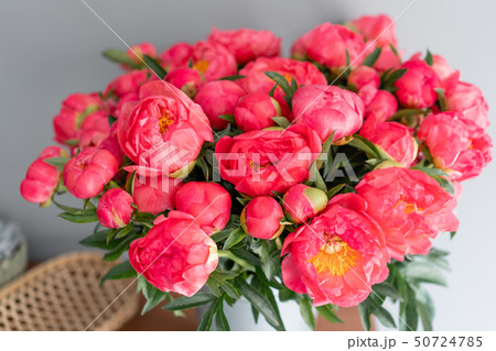 Coral peonies in a metal vase. Beautiful peony flower for catalog or online store. Floral shop Coral peonies in a metal vase. Beautiful peony flower for catalog or online store. Floral shop 50724785