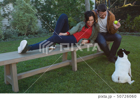 Couple playing with their dog 50726060