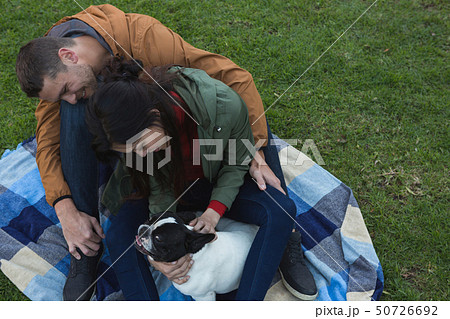 Couple playing with their dog Couple playing with their dog 50726692