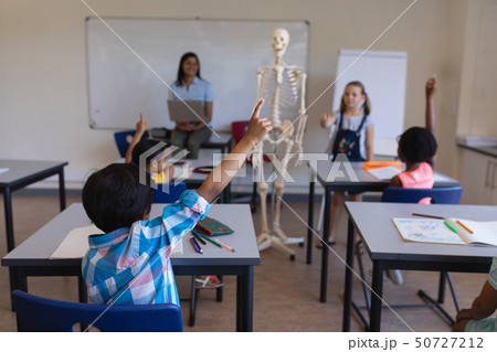 Schoolkids raising hands at desk in classroom 50727212