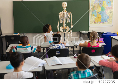 Rear view of little schoolgirl explaining human skeleton model in classroom 50727235