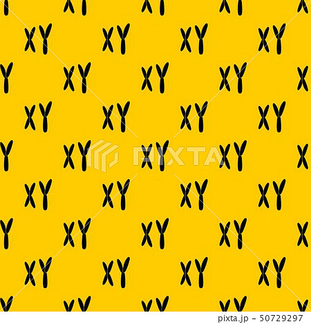 Human chromosomes pattern vector Human chromosomes pattern vector 50729297
