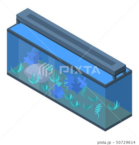 Office aquarium icon, isometric style Office aquarium icon, isometric style 50729614