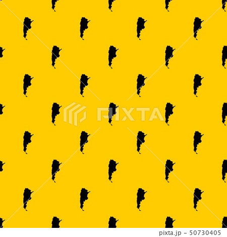 Map of Argentina pattern vector Map of Argentina pattern vector 50730405