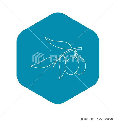 Olive branch with olives icon, outline style Olive branch with olives icon, outline style 50730656