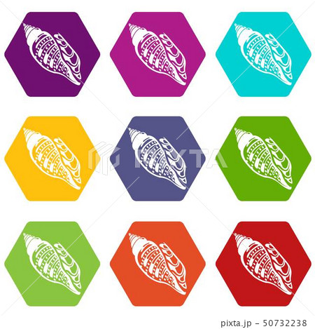 Ocean shell icons set 9 vector 50732238