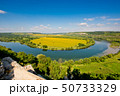 Beautiful view of nature. Blue sky, yelow field. 50733329