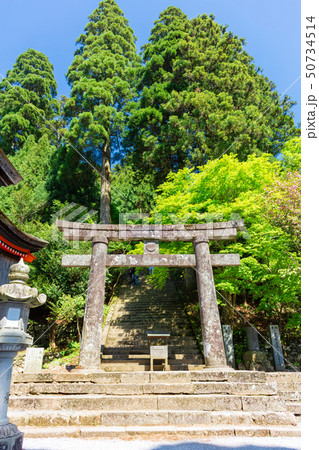 新緑の英彦山神宮_福岡県田川郡添田町 新緑の英彦山神宮_福岡県田川郡添田町 50734514