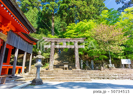 新緑の英彦山神宮_福岡県田川郡添田町 新緑の英彦山神宮_福岡県田川郡添田町 50734515