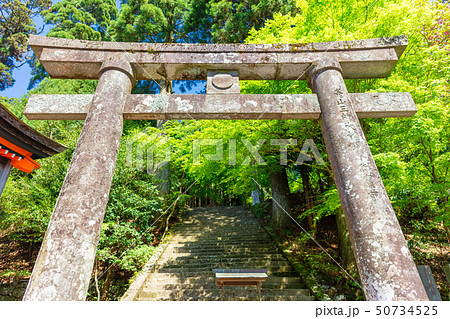 新緑の英彦山神宮_福岡県田川郡添田町 50734525