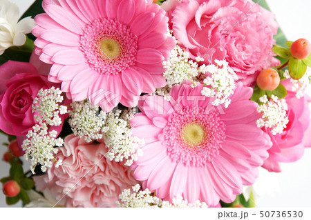 かわいいピンクの花 かわいいピンクの花 50736530