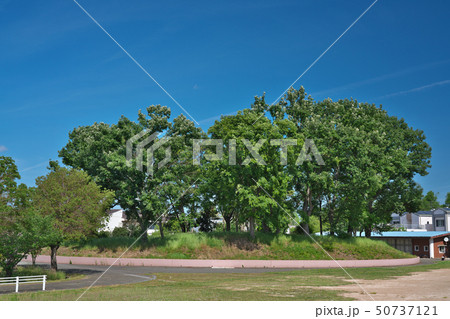 【銭塚古墳】 大阪府堺市堺区東上野芝町1 50737121