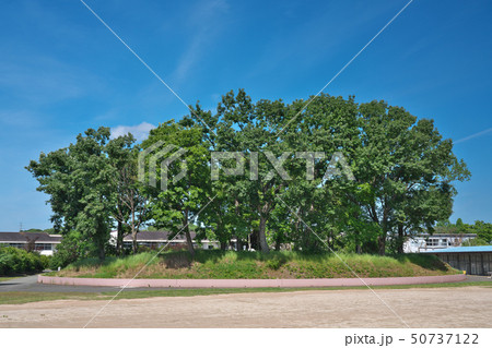 【銭塚古墳】 大阪府堺市堺区東上野芝町1 50737122