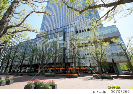 札幌 駅前通り赤れんがテラス周辺　風景 50737266