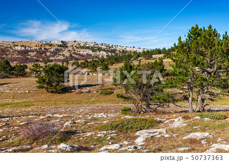 Mountain landscape at sunny spring day Mountain landscape at sunny spring day 50737363