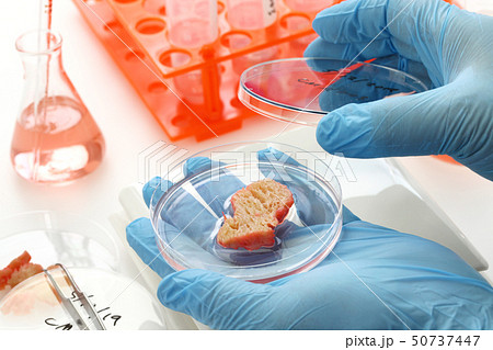 培養肉作製イメージ 50737447