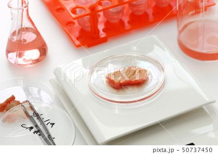 培養肉作製イメージ 培養肉作製イメージ 50737450