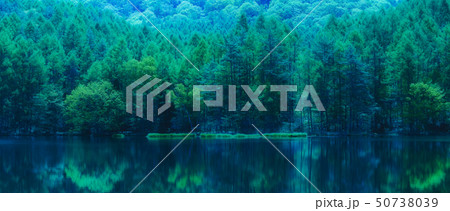 新緑の御射鹿池 50738039